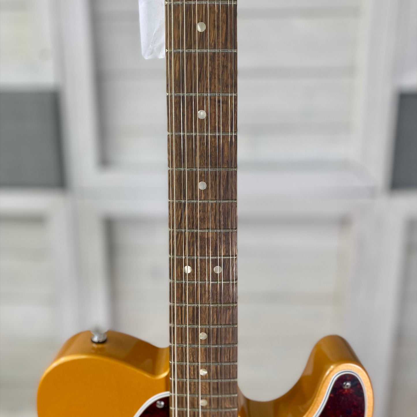 Squier Paranormal Troy Van Leeuwen Telecaster® XII Electric 12 String