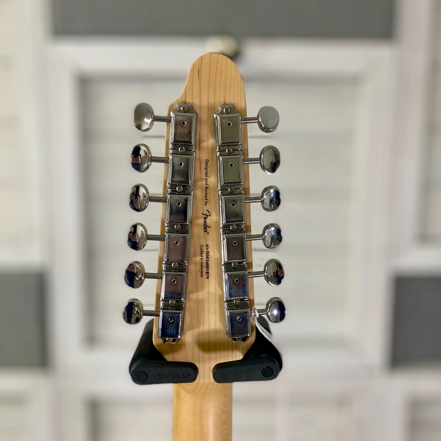 Squier Paranormal Troy Van Leeuwen Telecaster® XII Electric 12 String