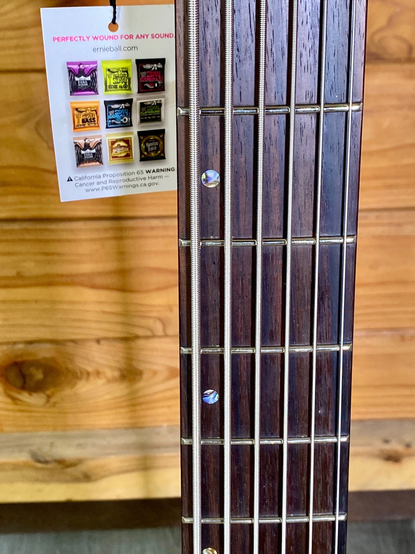Schecter Charles Berthoud CB-6 Signature 6-String Bass in Natural Satin