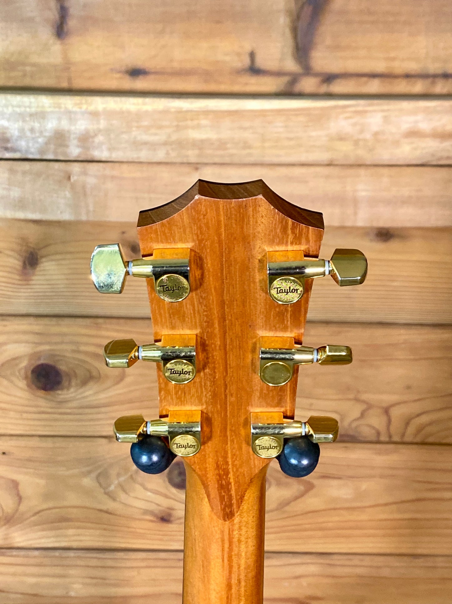 Taylor 214ce-SB dlx 2022 Lefty Electric Acoustic Guitar With Gigbag USED