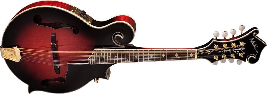 Washburn Electric Acoustic Mandolin With Hardcase All solid woods - Transparent Wine Red