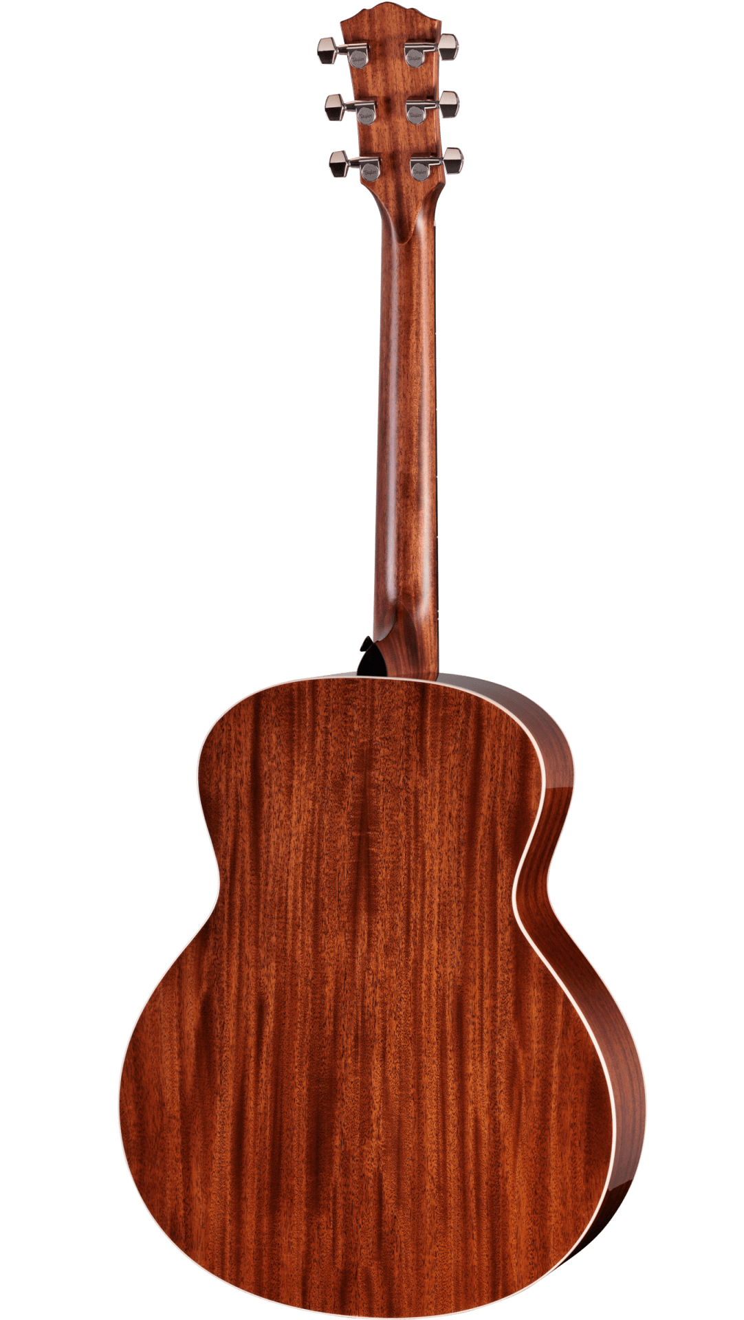 Taylor Gold Label 514e Super Auditorium Electric Acoustic Guitar to Order