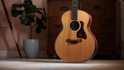 Taylor Gold Label 514e Super Auditorium Electric Acoustic Guitar to Order