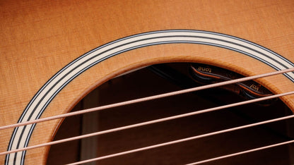 Taylor Gold Label 514e SB Super Auditorium In Sunburst with Cream Pickguard To Order