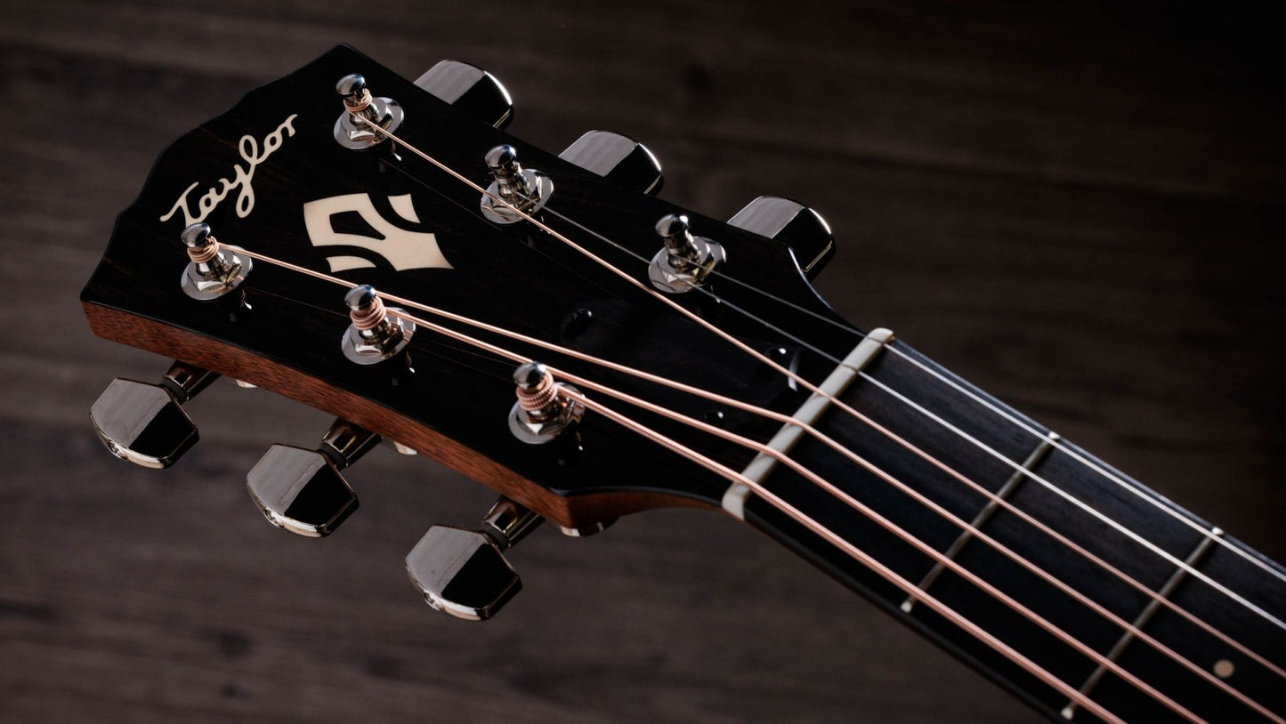 Taylor Gold Label 514e SB Super Auditorium In Sunburst with Cream Pickguard To Order