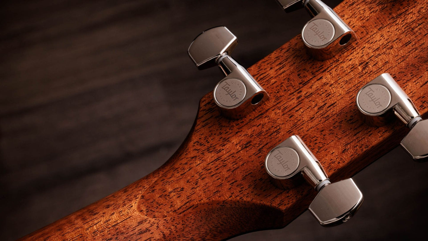 Taylor Gold Label 514e SB Super Auditorium In Sunburst with Cream Pickguard To Order