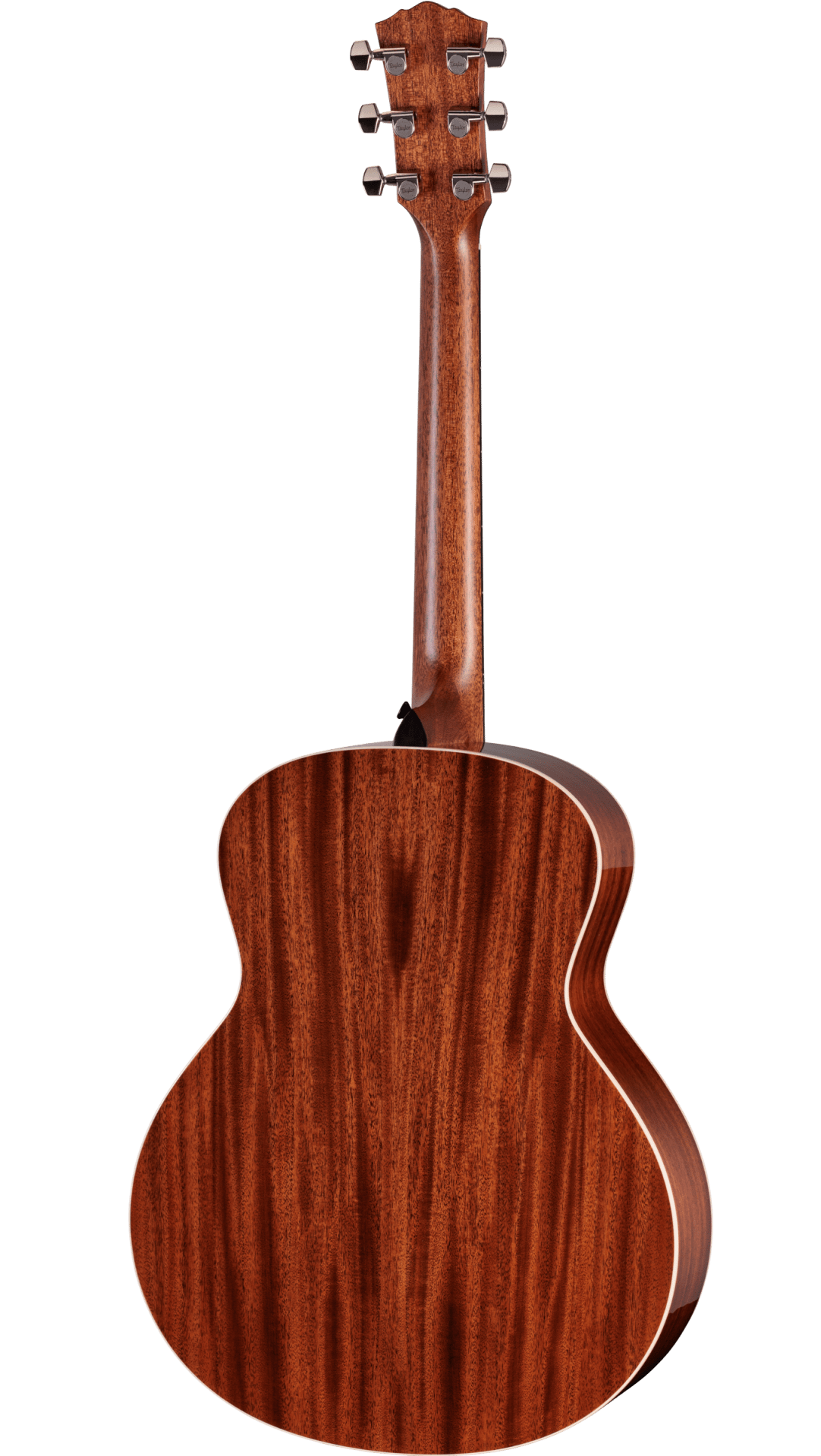 Taylor Gold Label 514e SB Super Auditorium In Sunburst with Firestripe Pickguard Pre Order