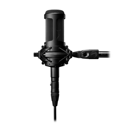 Audio-Technica AT2035 Cardioid Condenser Microphone