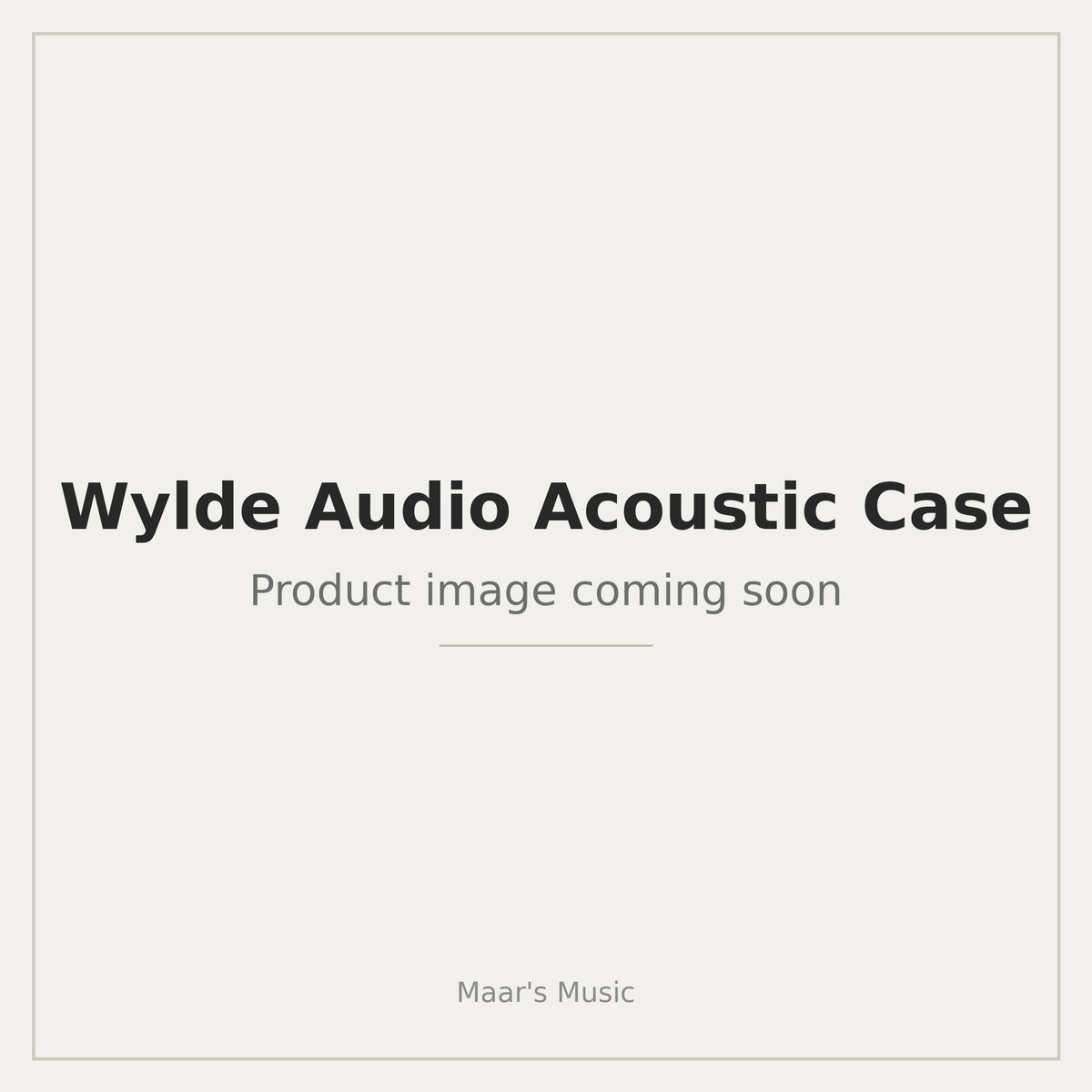Wylde Audio Acoustic Case - product image coming soon