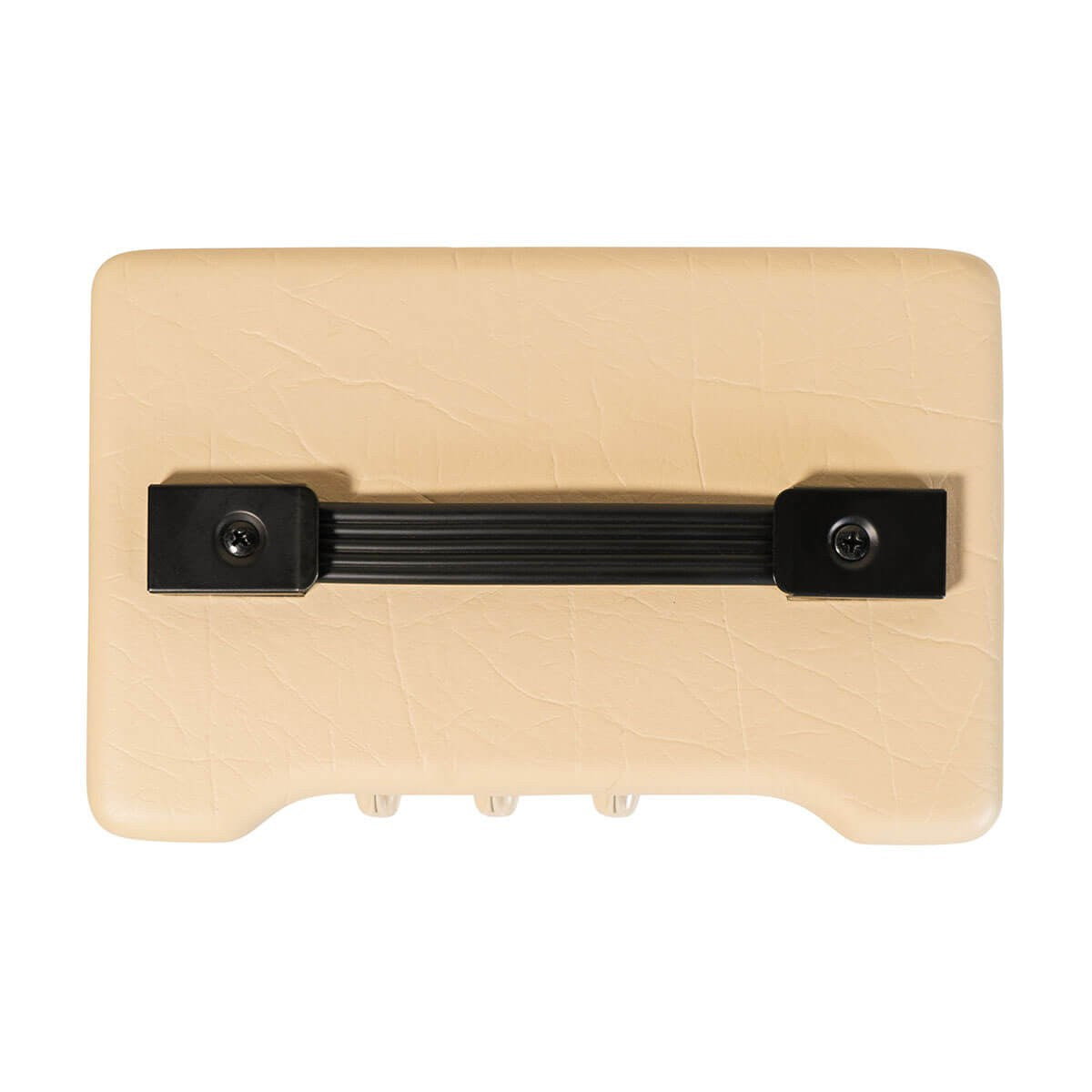 Blackstar Debut 10E in Cream – top control panel