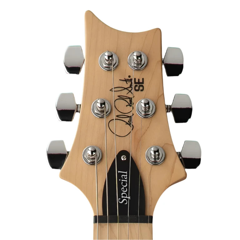 PRS SE Swamp Ash Special in Charcoal