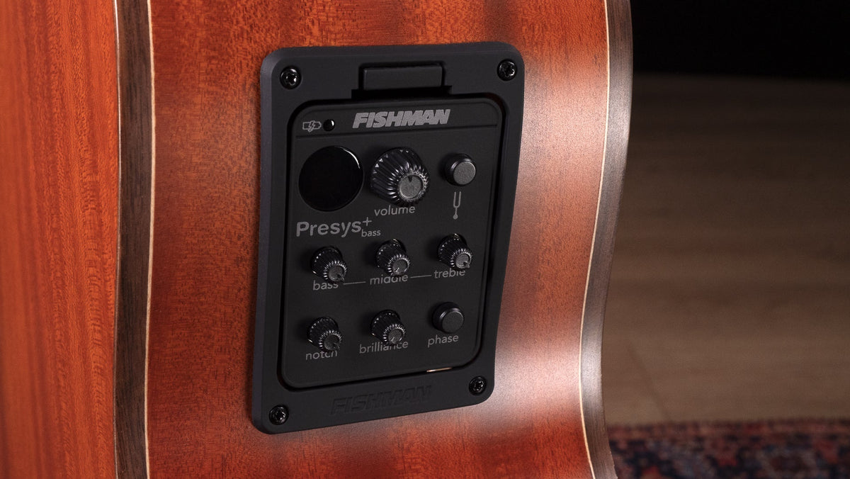 Faith Natural Titan Acoustic Bass Electro, Fishman bass preamp