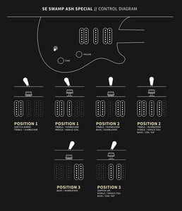 PRS SE Swamp Ash Special in Charcoal