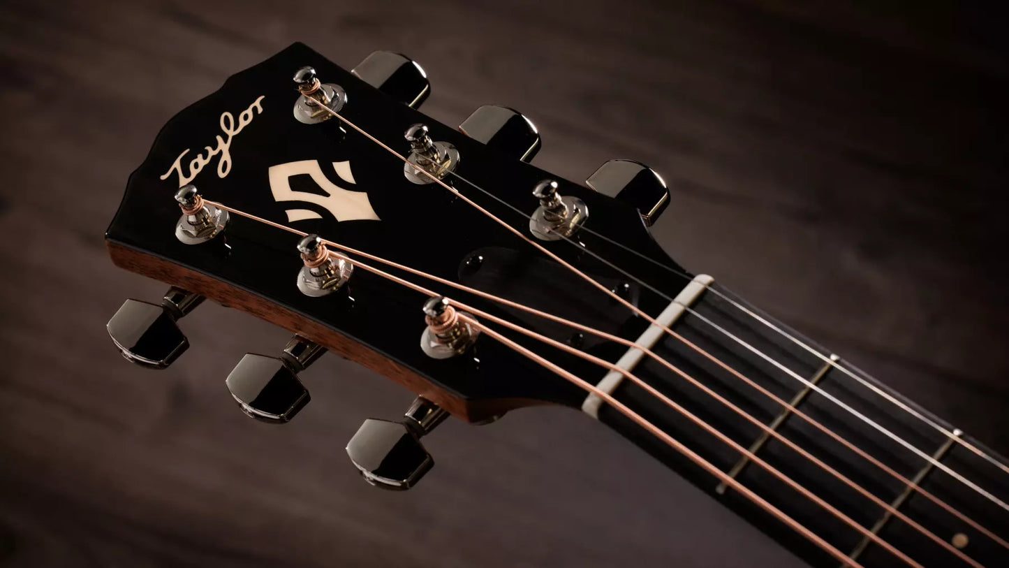 Taylor  Gold Label 517e Electric Acoustic Guitar in Natural Finish to order