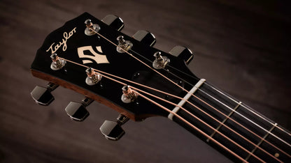 Taylor  Gold Label 517e Electric Acoustic Guitar in Natural Finish to order