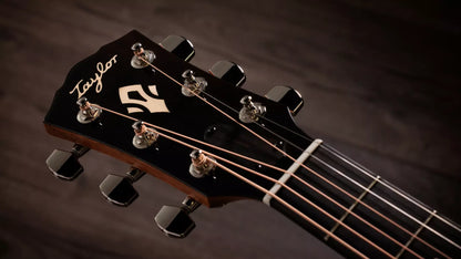 Taylor  Gold Label 517e Electric Acoustic Guitar in Sunburst With Firestripe  Pickguard to order