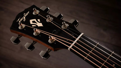 Taylor Gold Label 717e SB Sunburst With Firestripe Pickguard to Order