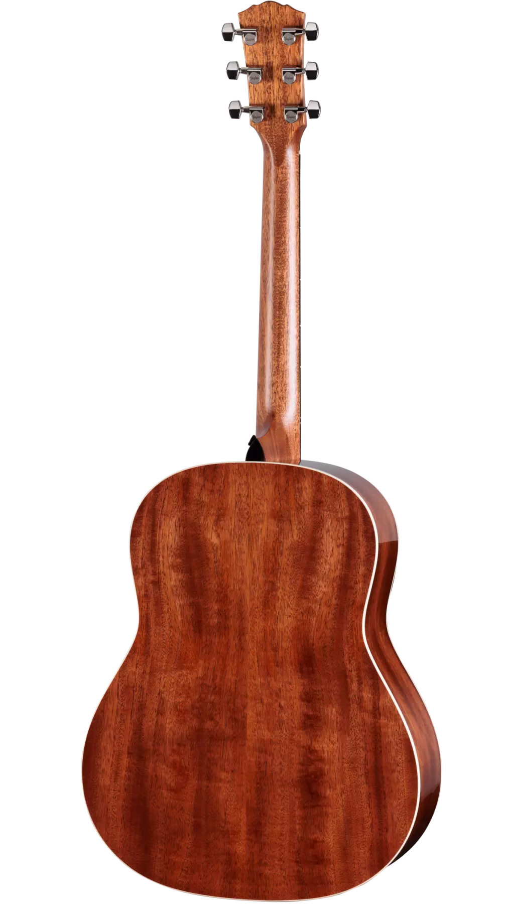 Taylor  Gold Label 517e Electric Acoustic Guitar in Natural Finish to order