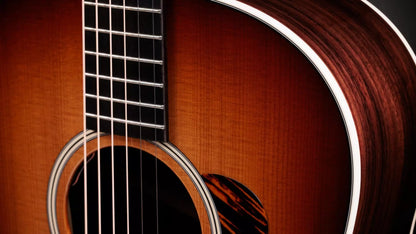 Taylor Gold Label 717e SB Sunburst With Firestripe Pickguard to Order