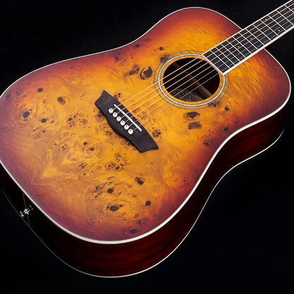 Washburn  Deep Forest Burl Dreadnought Acoustic Guitar in Amber Fade