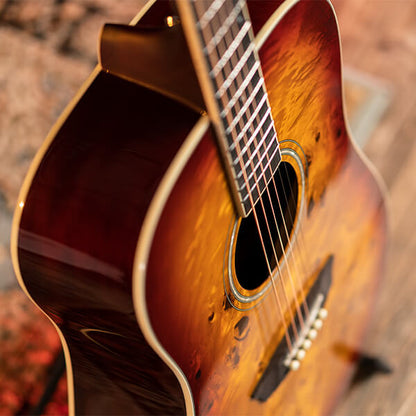 Washburn  Deep Forest Burl Dreadnought Acoustic Guitar in Amber Fade