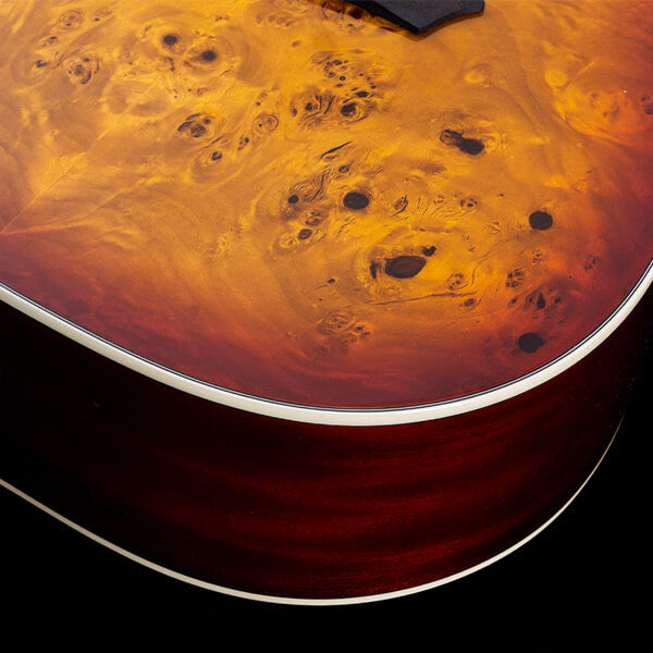 Washburn  Deep Forest Burl Dreadnought Acoustic Guitar in Amber Fade