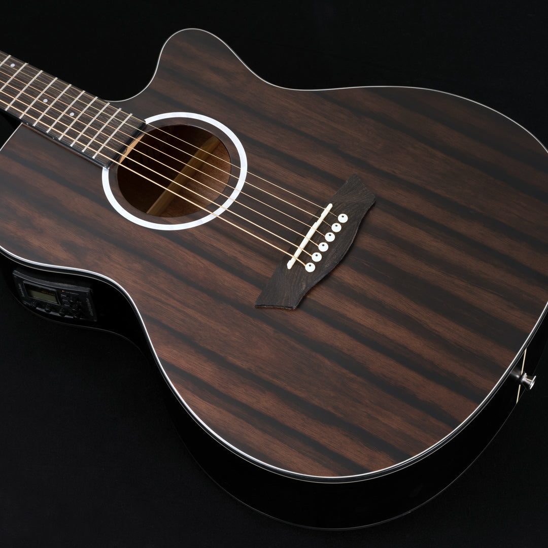 Washburn DFEACE_U Deep Forest Auditorium Electric Acoustic Guitar Striped Ebony