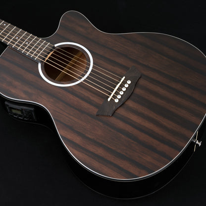 Washburn DFEACE_U Deep Forest Auditorium Electric Acoustic Guitar Striped Ebony