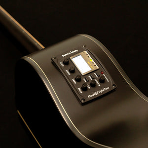 Washburn DFEACE_U Deep Forest Auditorium Electric Acoustic Guitar Striped Ebony