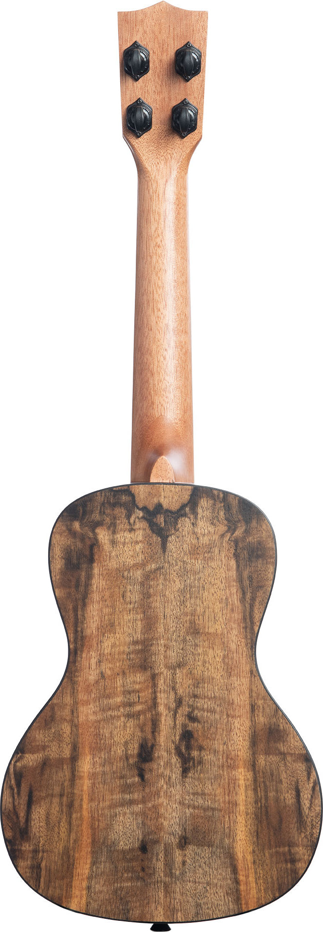 KALA Spalted Mango Concert Ukulele