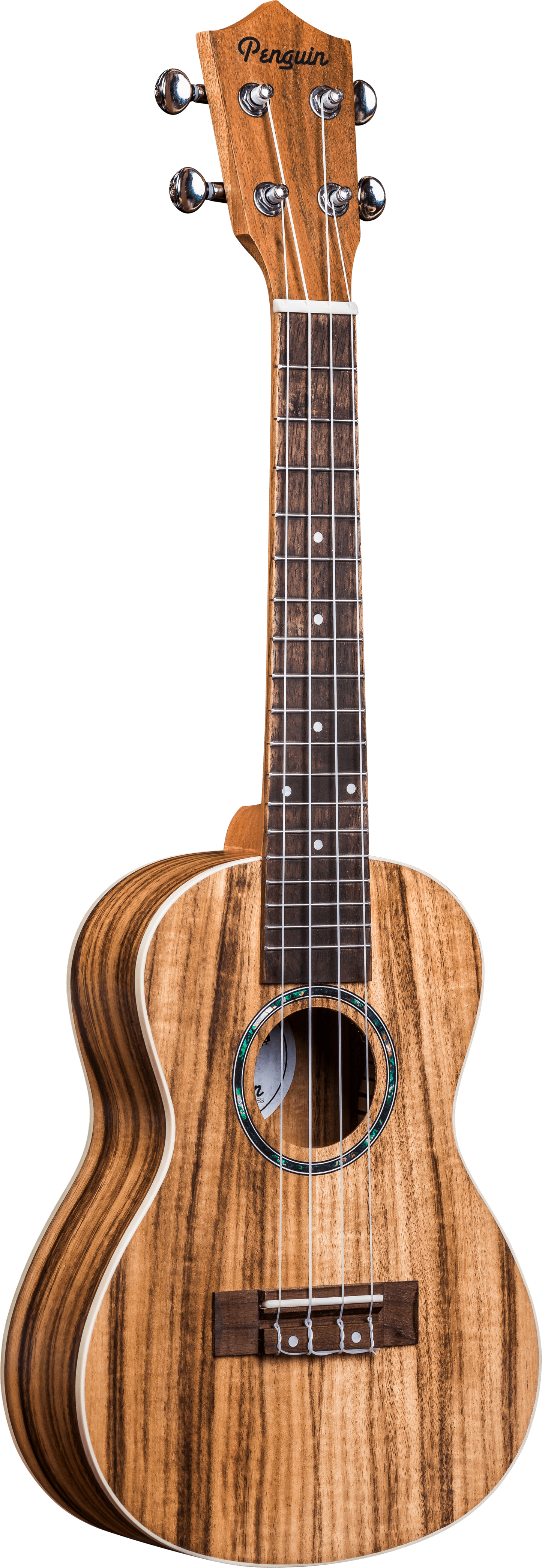 Amahi Penguin Koa Concert Ukulele