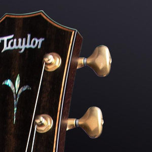 Taylor K24ce  Builder`s Edition Electric Acoustic Guitar