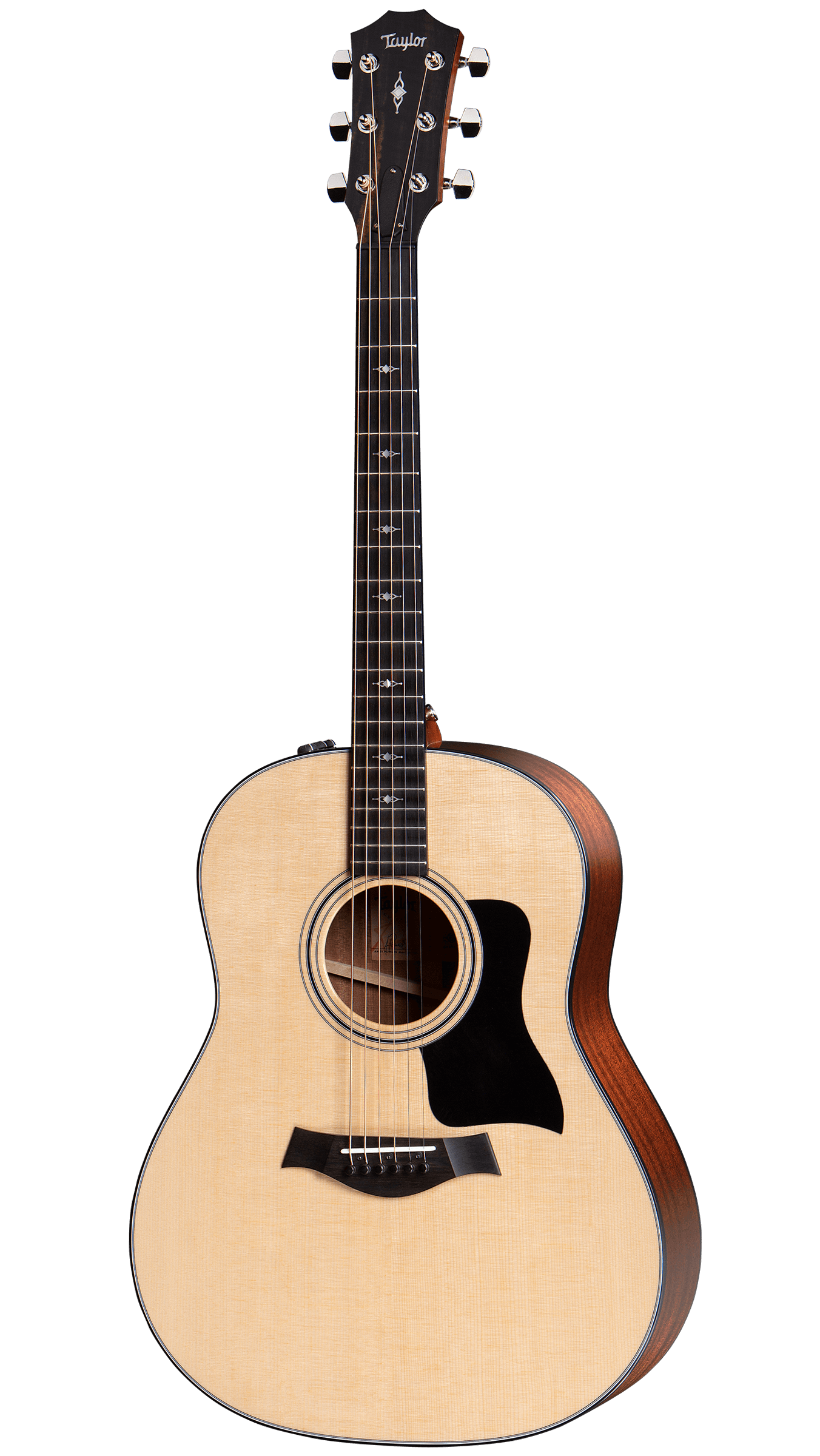 Taylor 317e Electric Acoustic Guitar