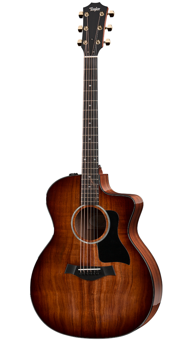 Taylor 224ce-k Dlx Electric Acoustic Guitar